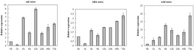 Functional Analysis and Marker Development of TaCRT-D Gene in Common Wheat (Triticum aestivum L.)